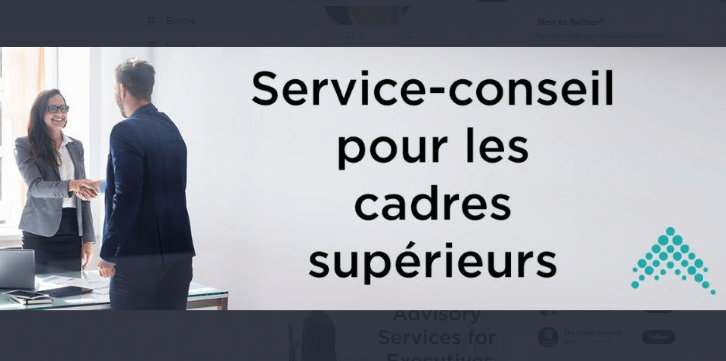 Rapport Annuel 2020-21 du Service-conseil pour les cadres supérieurs