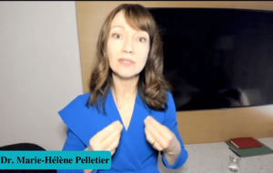 Photo durant webinaire - Photo during webinar