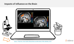 Photo of 2 brains. One in orange with 2 highlighted activity areas and one with 1 blue activated area.