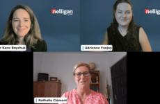 Nelligan law webinar Webinar view of panelist and APEX host