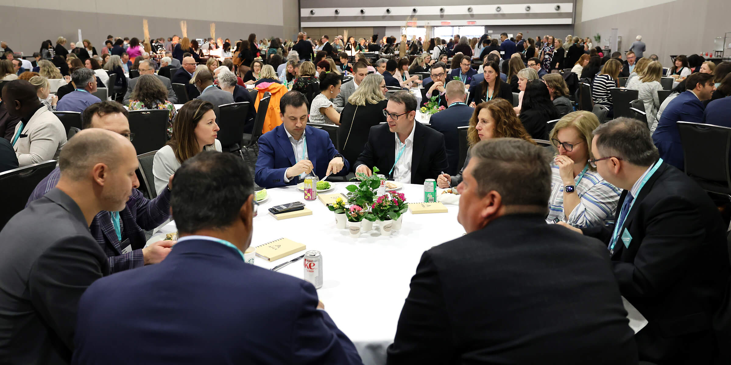 Executives having lunch at Summit